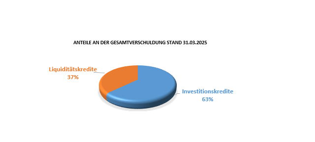 Diagramm Anteile an der Gesamtverschuldung