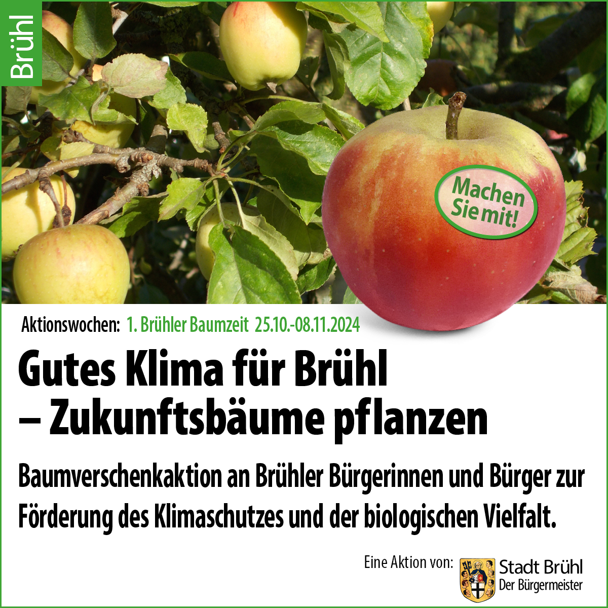 Zum vierten Mal startet die Stadt Brühl die Baumverschenkaktion: „Gutes Klima für Brühl – Zukunftsbäume pflanzen“.