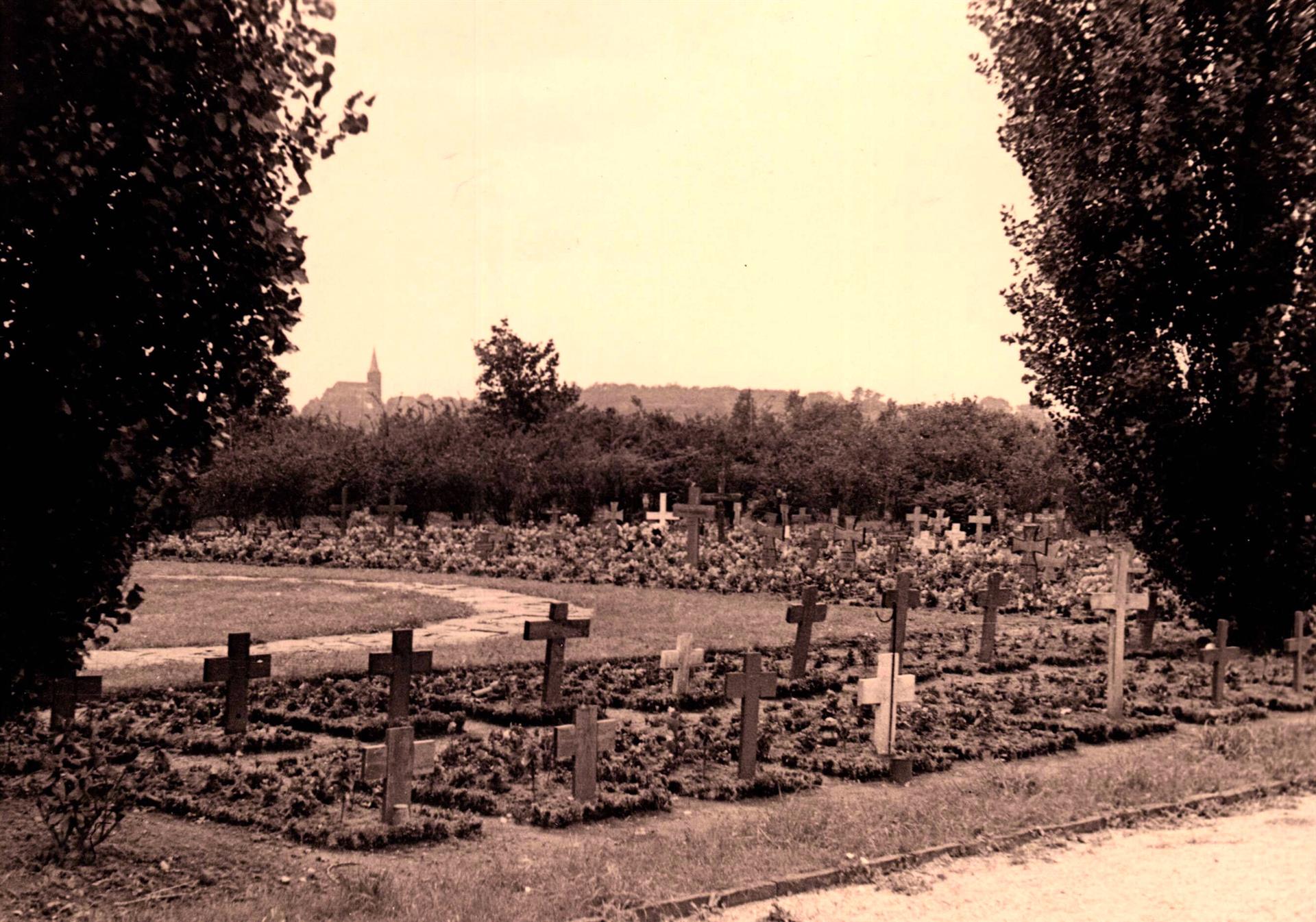 Gräberfeld für Bombenopfer auf dem Brühler Südfriedhof
