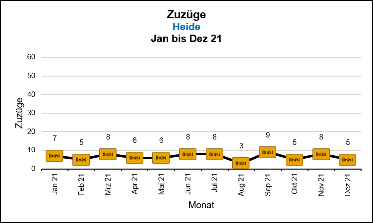 Heide - Zuzüge