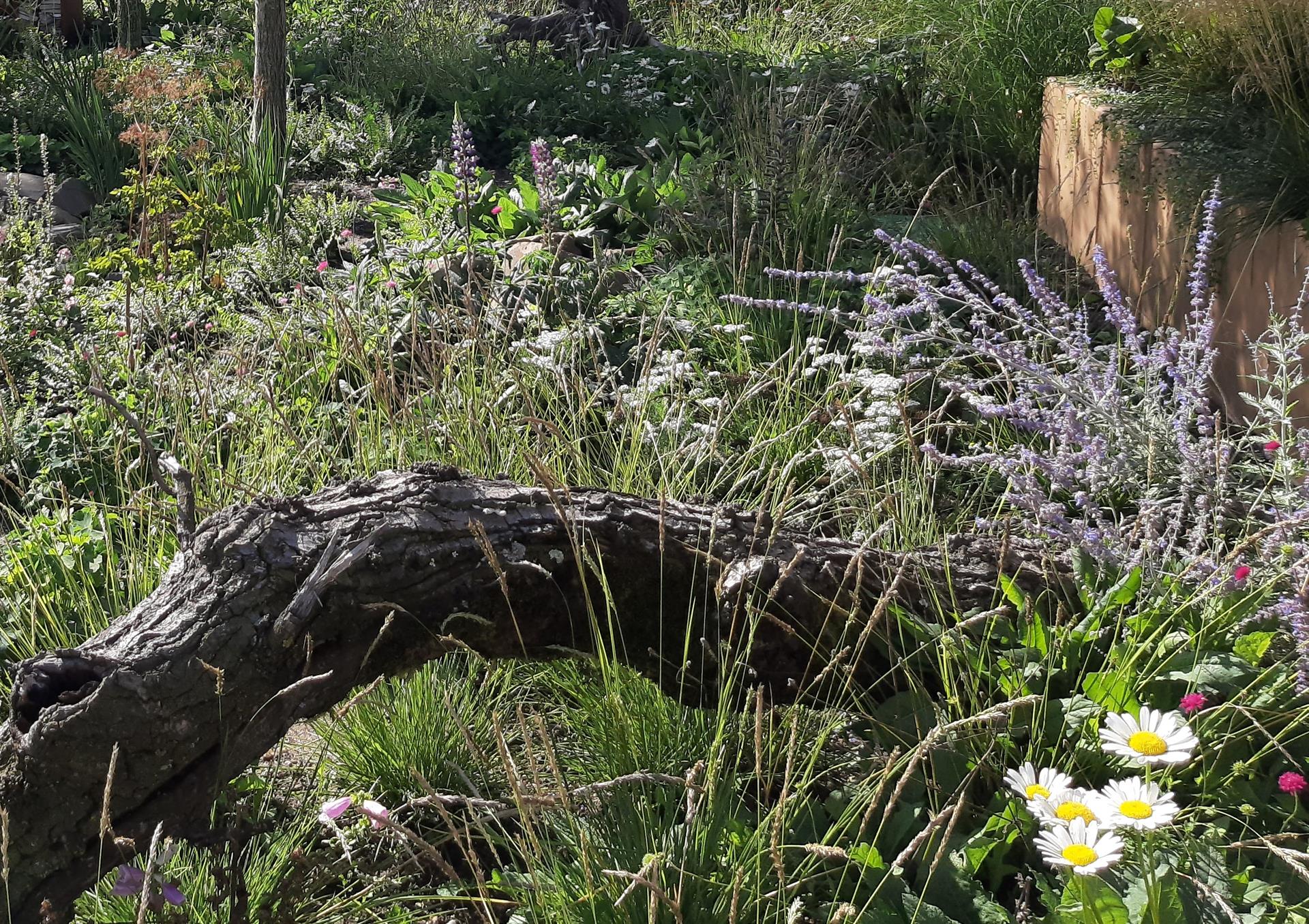 Naturnah angelegter Garten mit Totholz und blühenden Stauden