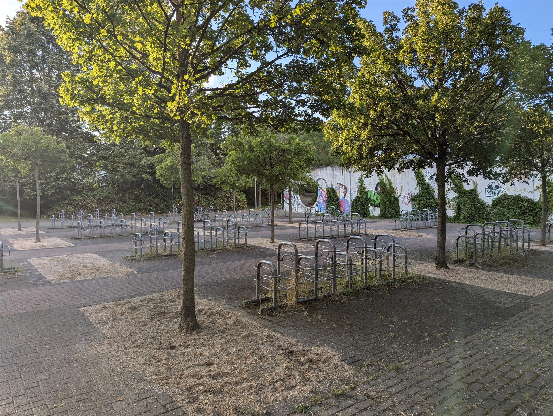 Fahrradstellplatz Gesamtschule mit vergrößerten Baumscheiben