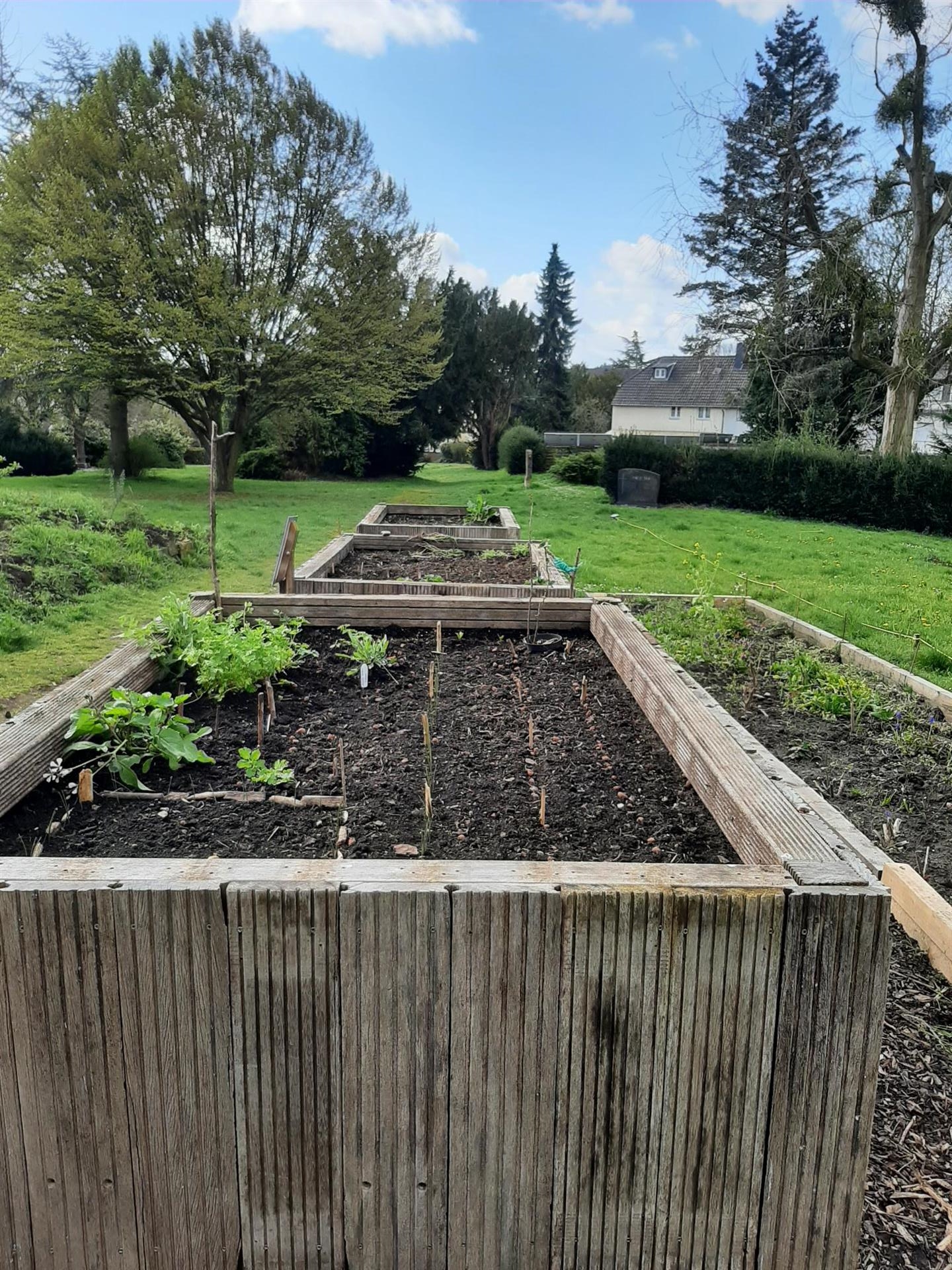 Hochbeete beim Urban Gardening auf dem ehemaligen Friedhof Kierberg