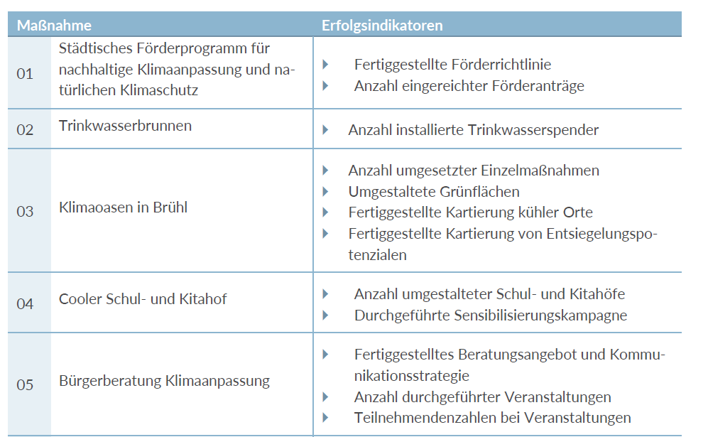 Ausschnitt Indikatoren zum Controlling der einzelnen Maßnahmen